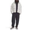 Under Armour Мужская пуховая куртка FW25, белая, артикул 6008826-110
