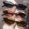 3 Pairs of Summer Women's Fashion Glasses Women's Glasses Suitable for Daily Decoration and Pography In Summer