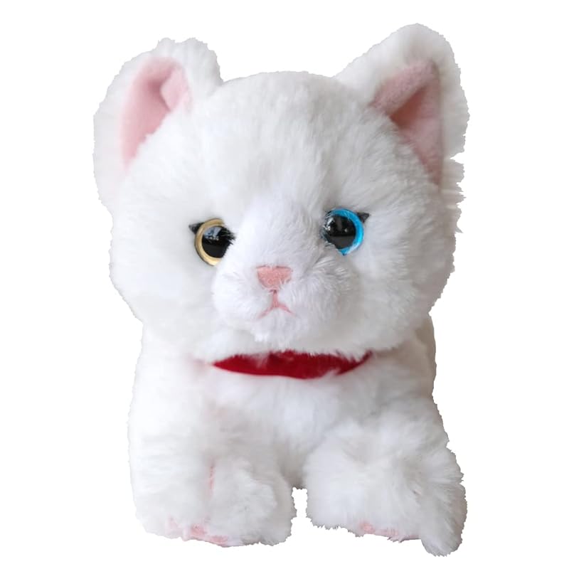 Sun Lemon Lap Cat Odd Eyes WH SS 11 x 29 x 12cm Plush Animal Cute Cat P-8042