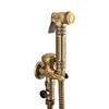 Antique Hand Held Bidet Sprayer Douche Toilet Kit Gold Brass Shattaf Shower Head Antique Copper Valve Set Jet Bidet Faucet Set