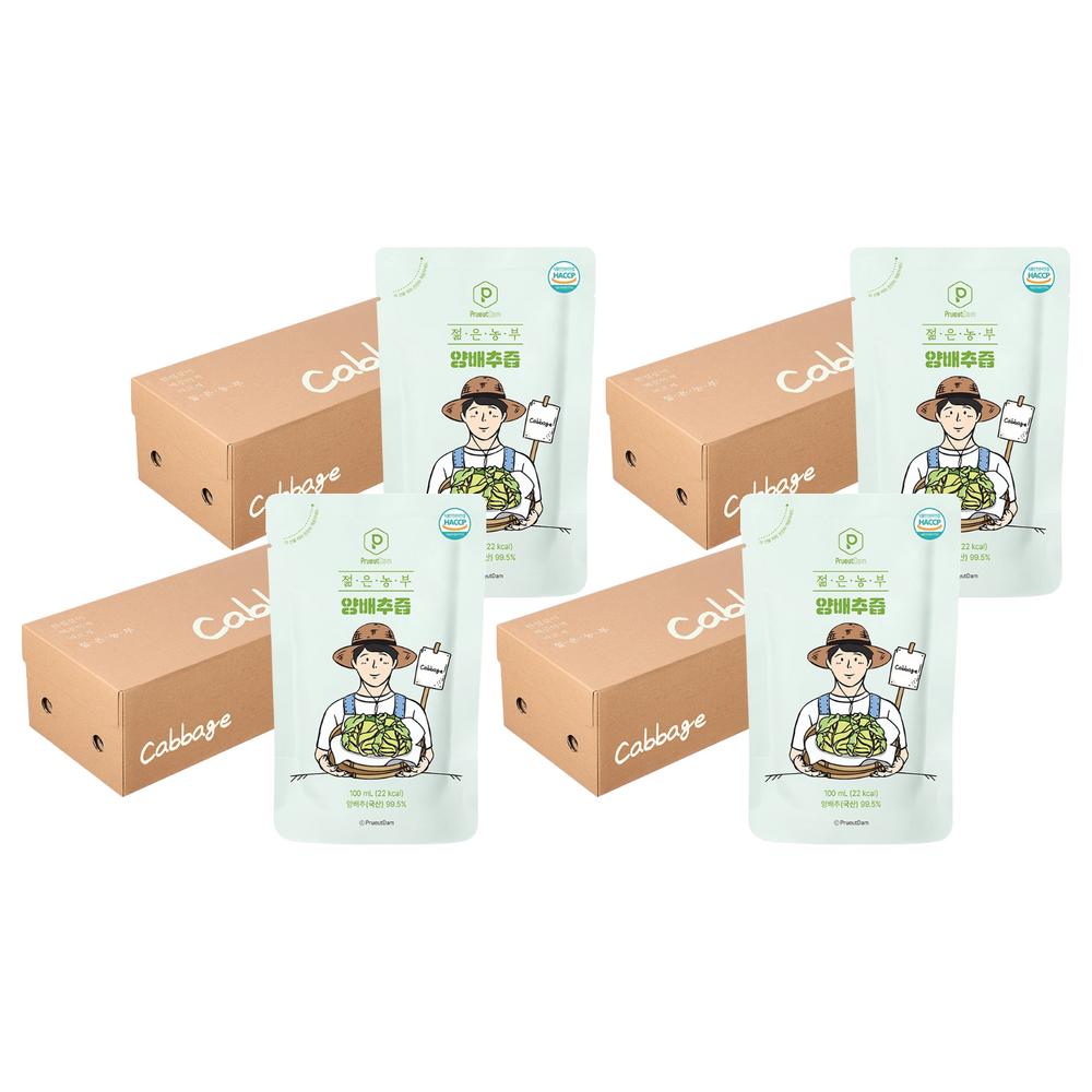 Purutdam Young Farmer Cabbage Juice 3L 4 pcs