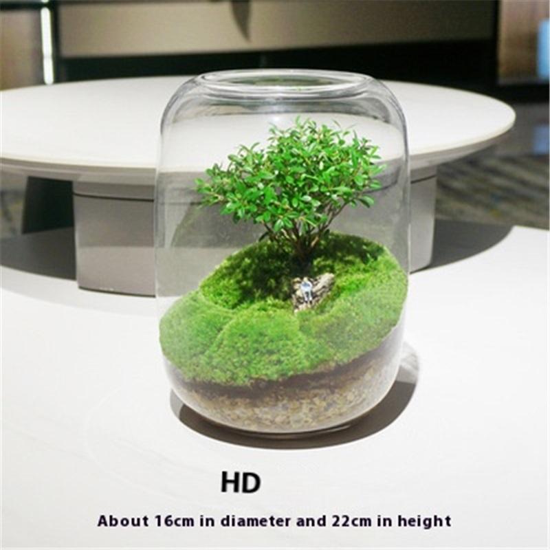 Творческий настольный микроландшафтный ваза своими руками зеленое растение экологическая бутылка мох ленивый искусственный ландшафтный дизайн бутылка современная простая ваза