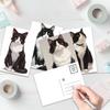 32pcs, cow cat portrait postcards, cat lovers, room decoration stickers, brochure material, souvenirs, collectibles and mailing