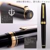 Перьевая ручка Sailor Professional Gear Gold Fine Point Black 11-2036-220