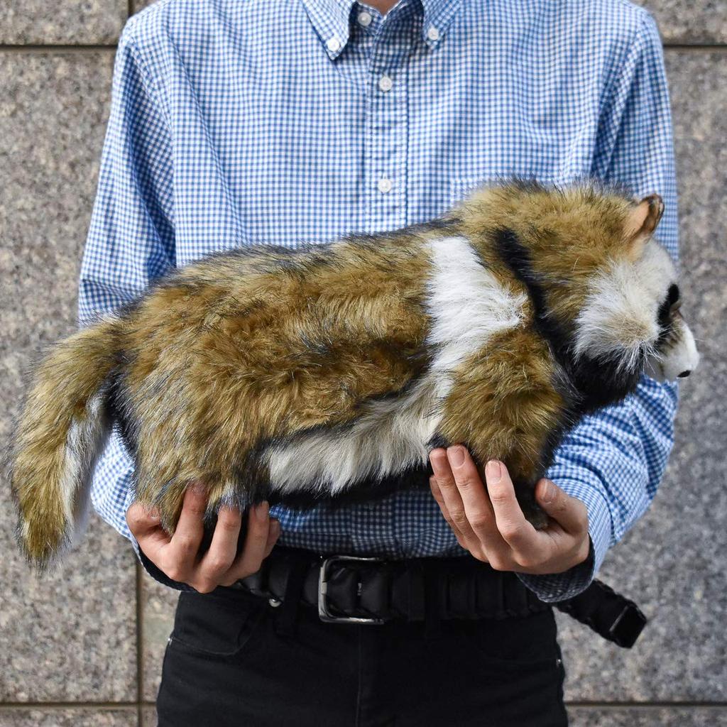 BH7256 HANSA Raccoon 46