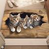3D коврик-мат с кошкой, ковер, домашний декор, длинный коридор, гостиная, спальня, декор пола, реалистичное животное-питомец, коврик для приветствия