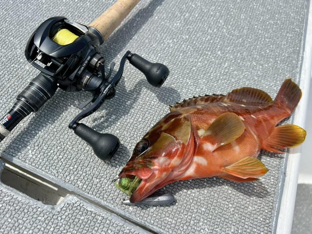 Ручка катушки Gomexus CH100, совместимая с Daiwa Shimano Bait Reel, двойная ручка, сменная ручка катушки Seaborg Saltiga Ocean Conquest Double Axis, 100 мм