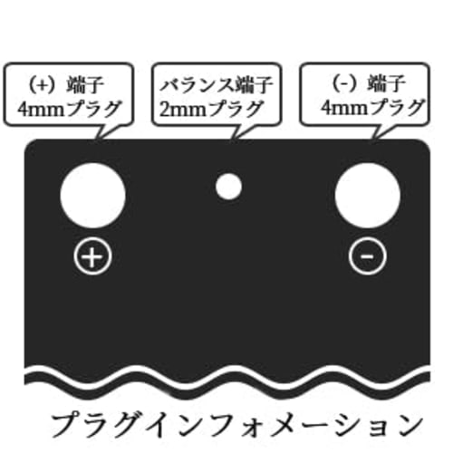 Zeee 7.4V 80C 5200mAh 2S LiPo Battery, RC Battery, High-Capacity Battery for RC Cars, RC Trucks, Drones, Etc. (4mm Gold Plug with T-Plug)