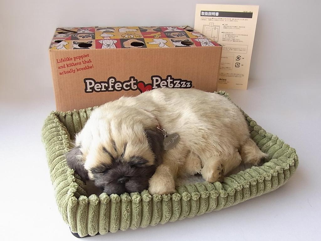 Nini and Kino Perfect Pet Pug Stuffed Toy Dog Realistic Miscellaneous Goods Animal Healing Moving Present Gift Celebration Cute Dog Stuffed Toy (Small