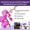 50ml Orchid Flower Fertilizer Liquid Increase Germination Rate Improve Growth for Beginner Starter Gardening Lover Gift