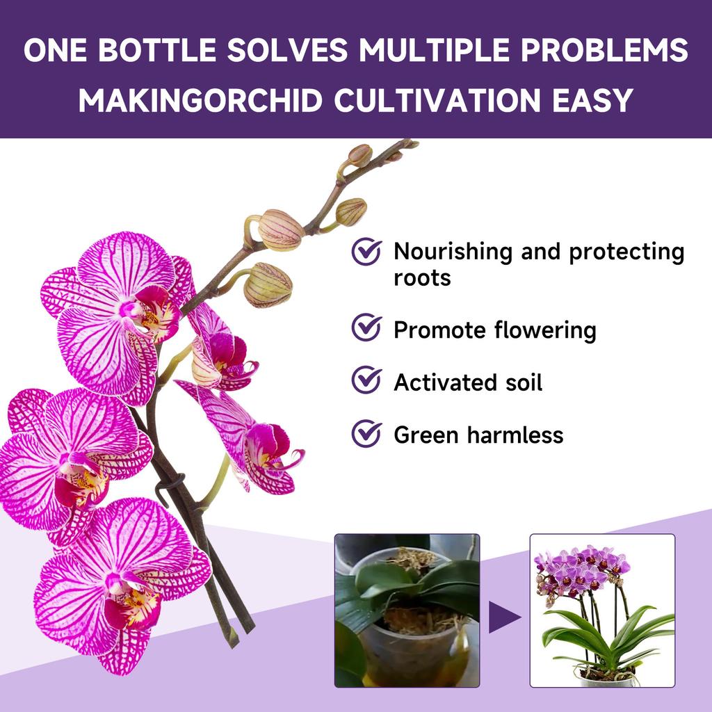 50ml Orchid Flower Fertilizer Liquid Increase Germination Rate Improve Growth for Beginner Starter Gardening Lover Gift