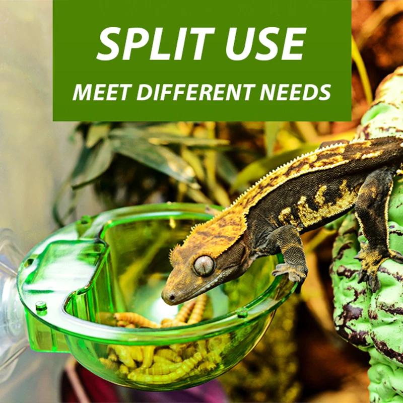 Древесная рептилия живая анти-побег присоска кормушка хамелеон тазик для еды настенные двухслойные пластиковые миски для мелких животных D9210
