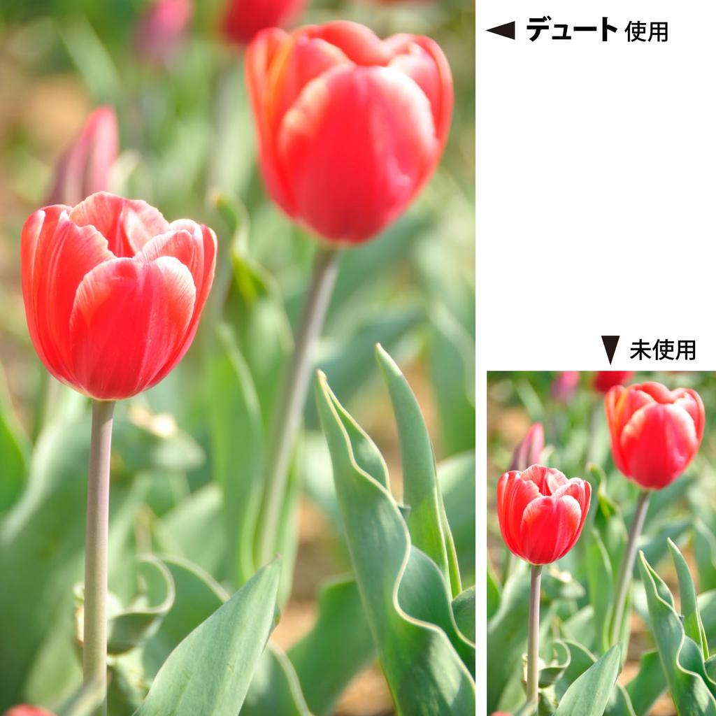 Kenko Duto 72mm Lens Filter for Soft Rendering (372319)
