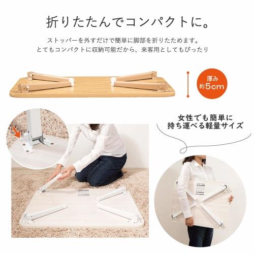 Takeda corporation Folding Table OTB-6045WH White