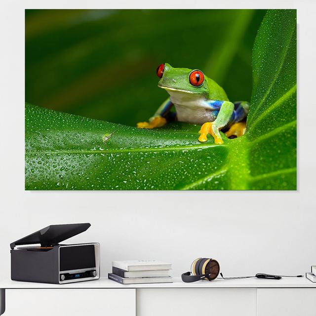 Картина на холсте с животными, древесная лягушка, смеющиеся постеры и принты, пейзаж, настенные художественные фотографии для гостиной, домашний декор, без рамки