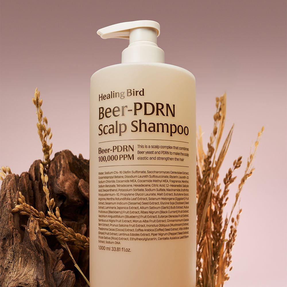 HEALING BIRD Beer PDRN Scalp Shampoo 1000ml Hair Loss Care Beer Yeast PDRN Korean Shampoo