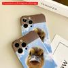 Curious Duck Peeking from Cardboard Box All inclusive film hard phone case, compatible with iPhone 18 Pro Max 17 16 15 14 13 12 11