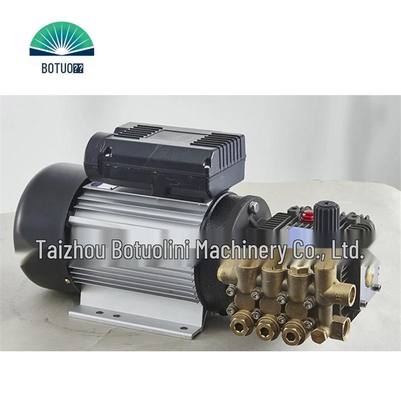 Botorini FBM Electric High-Pressure Plunger Pump Unit