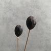 Zen Bouquet: Preserved Natural Cotton and Wheat Ear Flower Arrangement for Living Room Decor