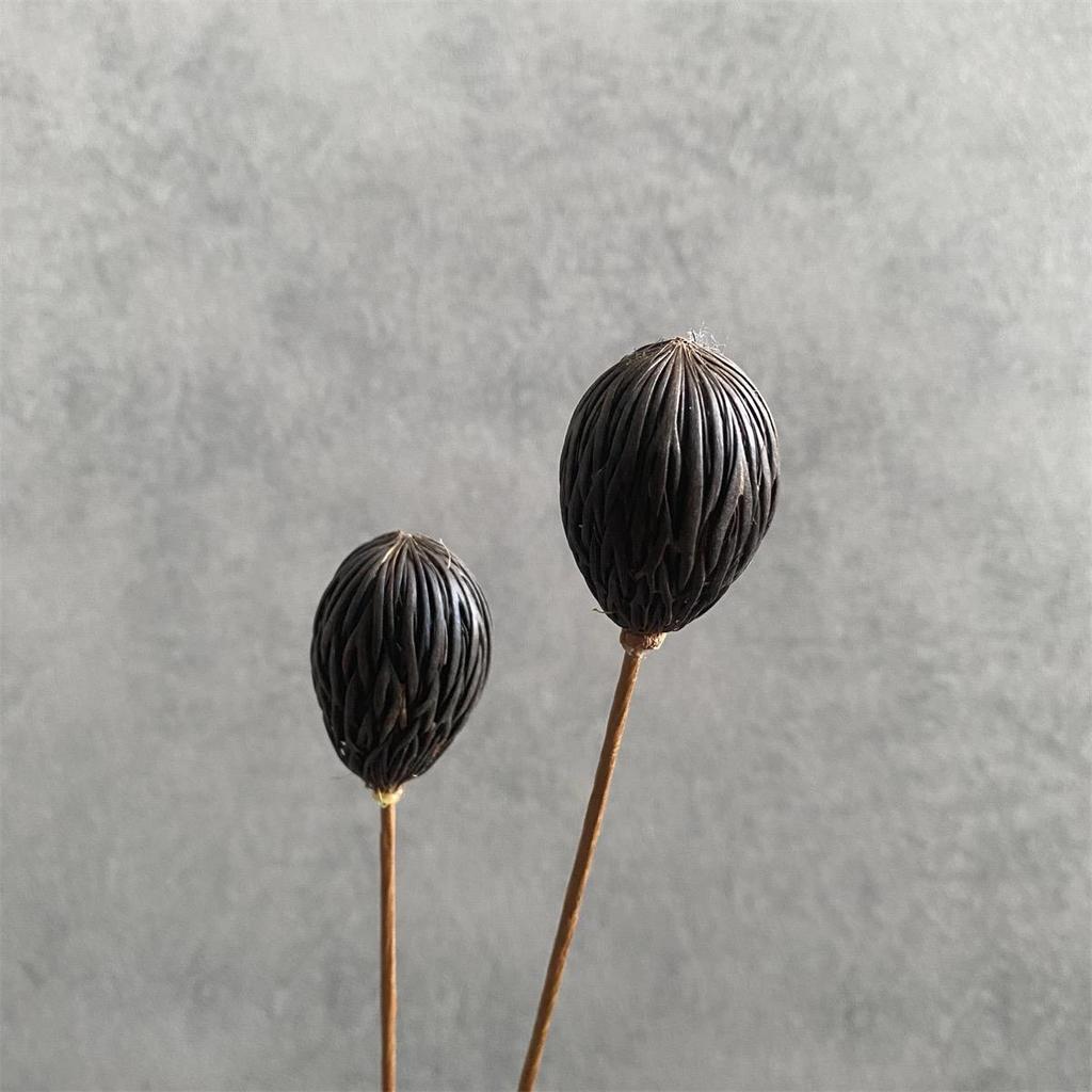 Zen Bouquet: Preserved Natural Cotton and Wheat Ear Flower Arrangement for Living Room Decor