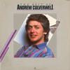 Виниловая пластинка ANDREW CULVERWELL The Best Of Andrew Culverwell 7014130013 DaySpring 1984 США Поп Б/у