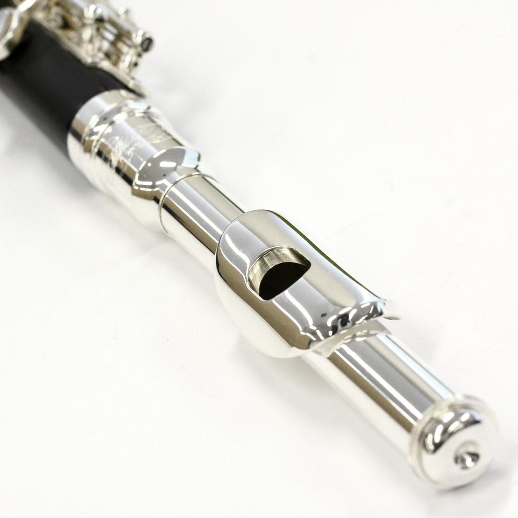 Kaerntner Piccolo Silver Semi-Hard Case KPC-320