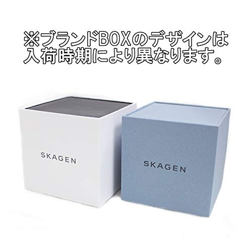 Skagen Men's Signatur Watch in Gray and Brown Leather (SKW6578)