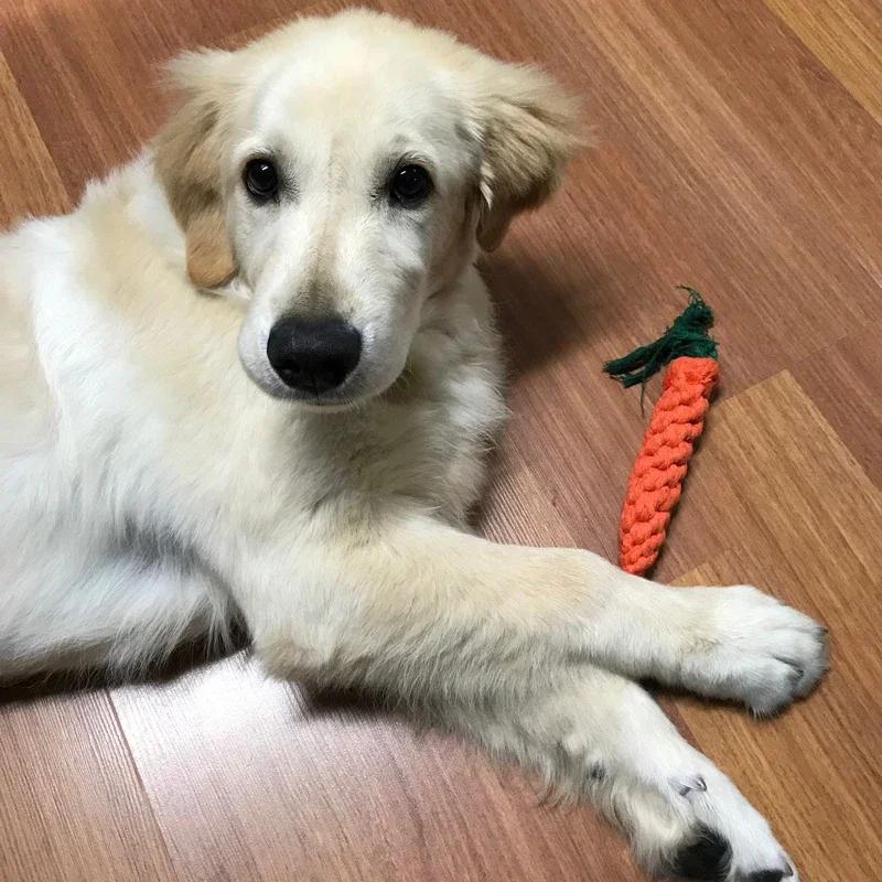 «Игривая» прочная жевательная игрушка для собак в форме морковки с веревочным узлом — интерактивная игра, стимулирующая скрежетание зубами для средних пород
