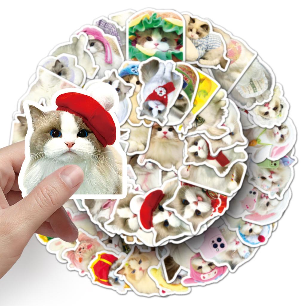 50 Ragdoll Cat Doodle Stickers Cute Kitten Ins Style Creative Decorative Water Cup Computer Mobile Case Stickers