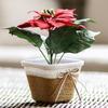 Easy To Use Plant Pot Paper Rope Braided Woven Basket Braided Flower Pot  for Indoor Outdoor Plants