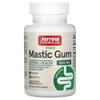 Jarrow Formulas Мастиковая камедь 1000 мг, 60 растительных капсул (500 мг на капсулу)