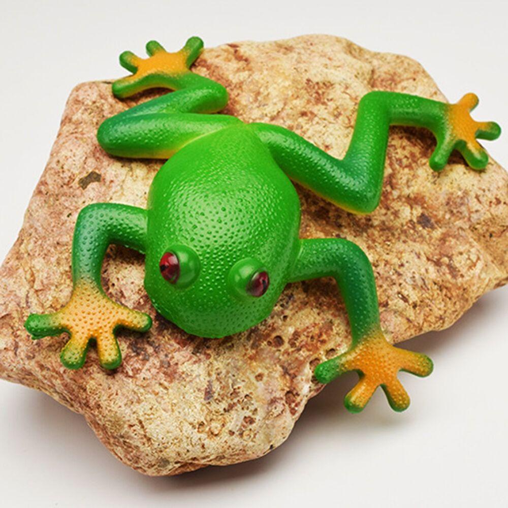 15*15cm for Toddlers Tricky Toy Sensory Play Decompress Frog Toys Simulation Frog Model Fake Frog