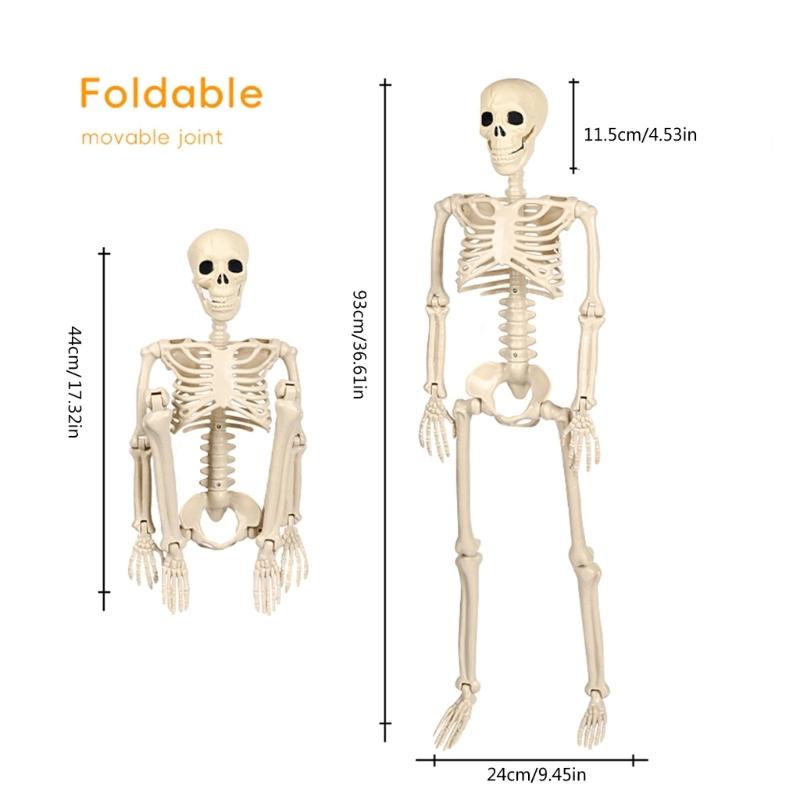 Хэллоуинская декорация Скелет в полный рост с подвижными конечностями для демонстрации в доме с привидениями и украшения для вечеринки Украшение в виде черепа