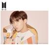 Jigsaw Puzzle BTS MAP OF THE 108-piece SOUL PERSONA-J-HOPE (18.2x25.7cm)