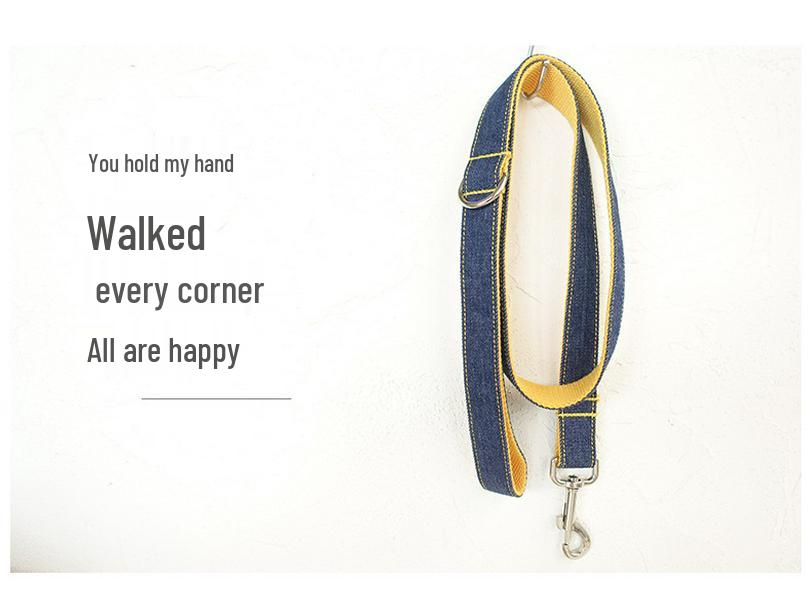 Personalized DIY Pet Leash and Handmade Dog Collar Set for Walking