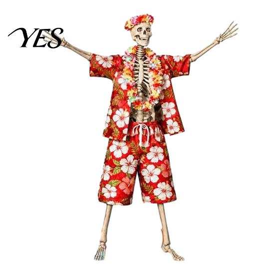 Garden Skull Decor Costume Set, Easy-to-Wear Outdoor Skeleton Outfit, Reinforced Breezy Weather Stitching Durable Cosplay Costume, for Home Courtyard