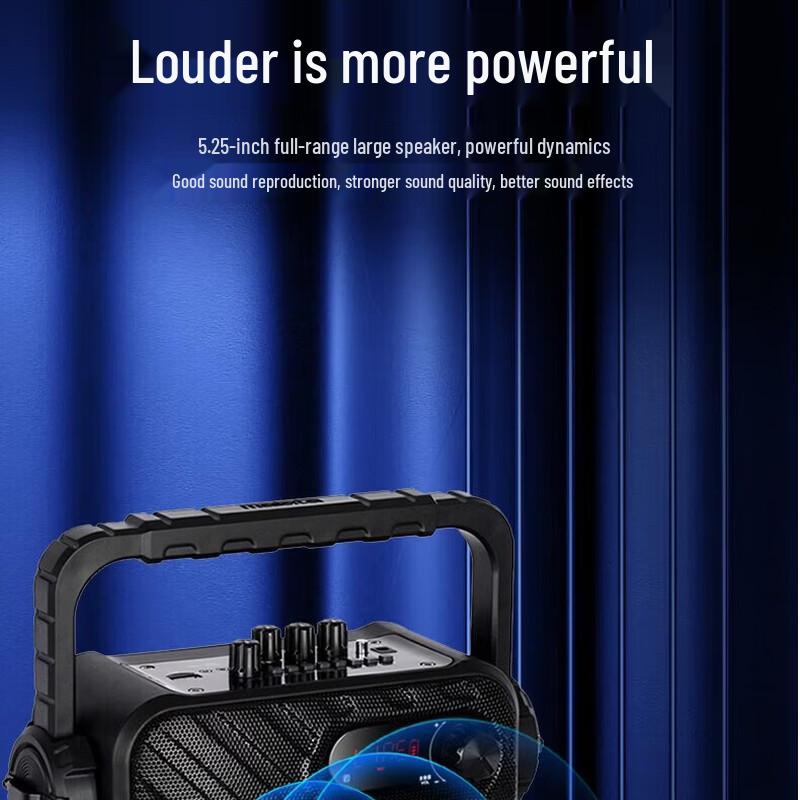 Malata M+9110CS Portable Outdoor Wireless Speaker with Dual Mic & Instrument Input (CN version)
