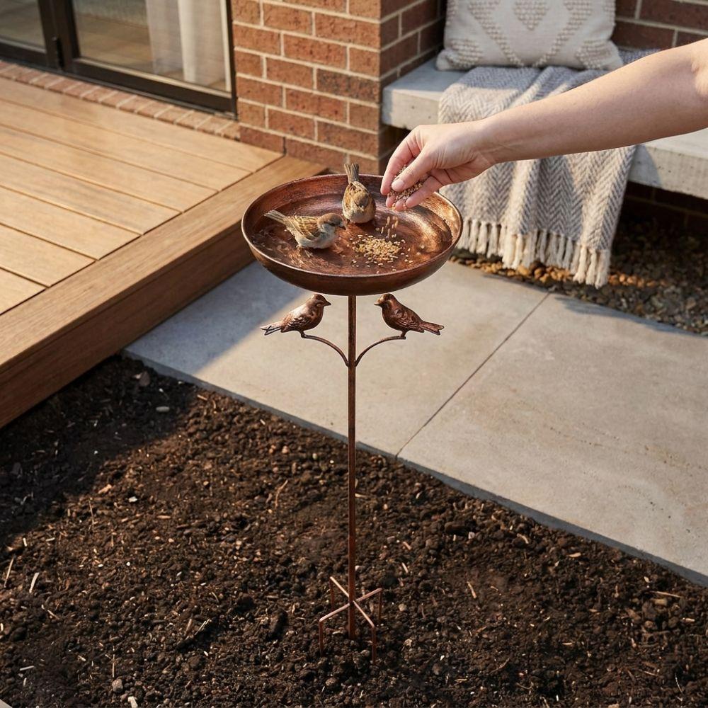 Standing Bowl Iron Bird Bath Feeder 5 Claw Ground Plug Bird Water Drinker  Lawn Backyard