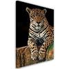 Canvas Print Leopard Animals Nature