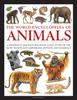 Книга Animals, The World Encyclopedia of : A Reference and Identification Guide To 840 of the Most Significant Amphibians, Reptiles and Mammals