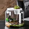 Transparent Hydroponic Fish Tank Unbreakable Desktop Turtle Tank Practical Goldfish Bowl  Home