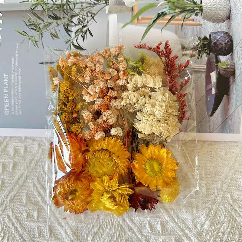 DIY Round Fan Kit: Natural Dried & Preserved Flowers for Handmade Greeting Cards & Crafts