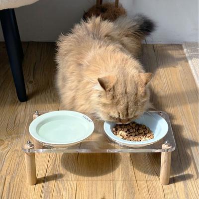 Керамическая миска для кошек с акриловой подставкой, одинарная/двойная, защищает шейный отдел позвоночника, предотвращает проливание, с увеличенной высотой