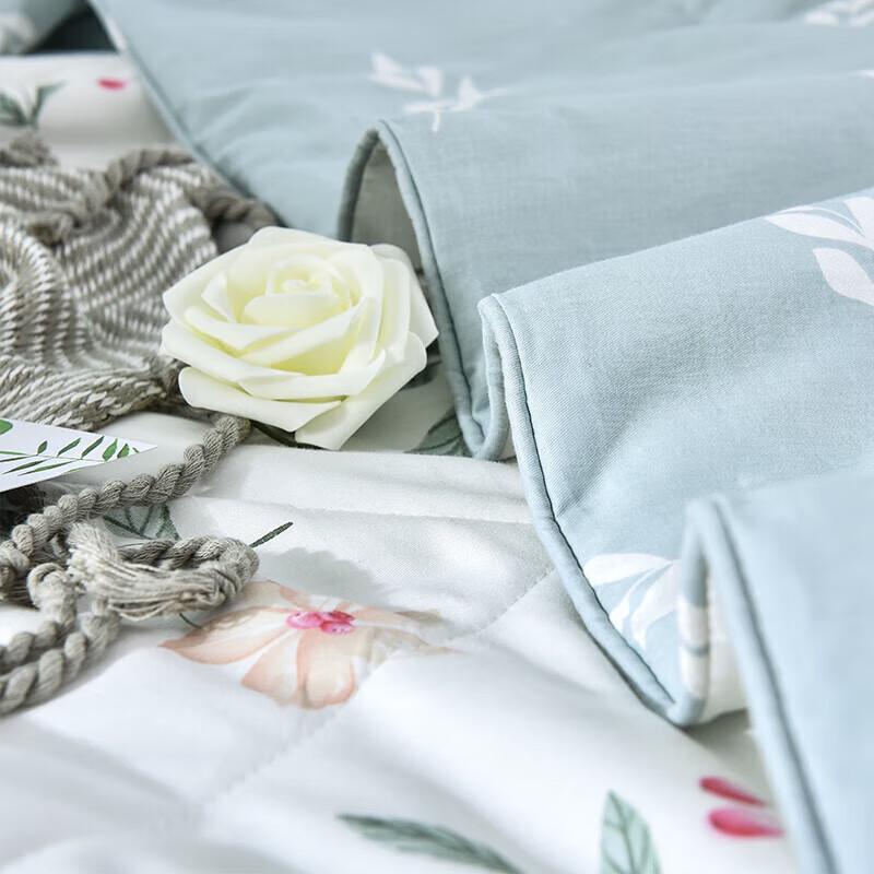 Shanshan Home Textiles Washable Antibacterial Air Conditioning Quilt