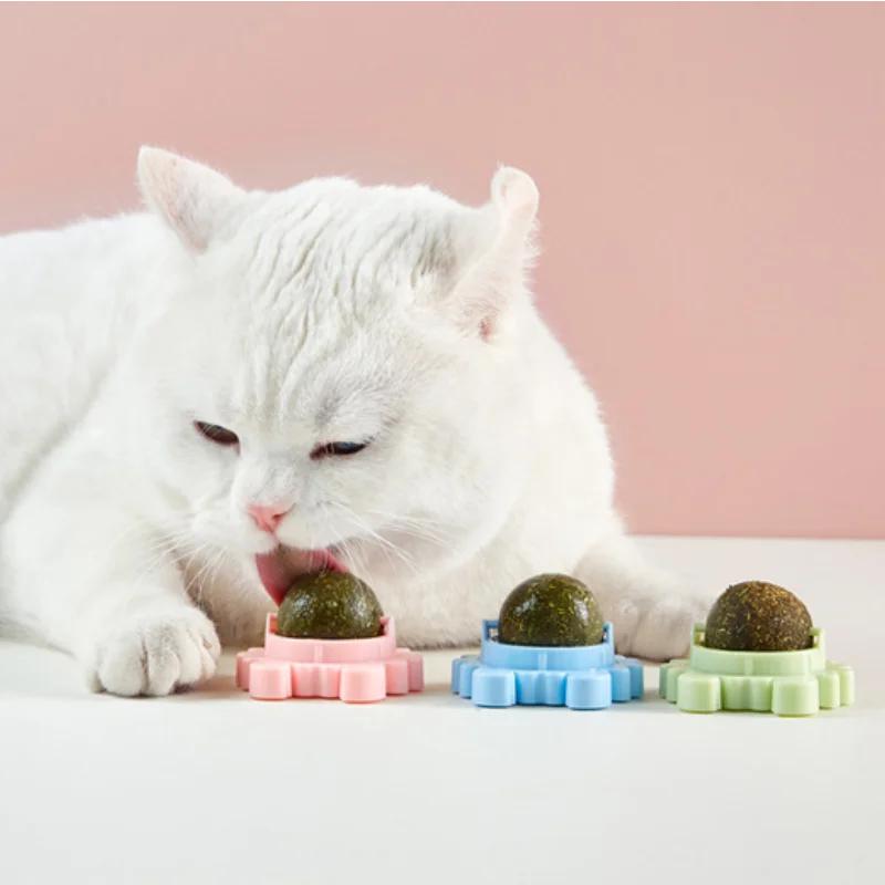 Pet Catnip Toys Edible Nature Mint Ball Safety Healthy Rotatable Cat Chasing Game Toy Clean Teeth Product with Box Moistureproof