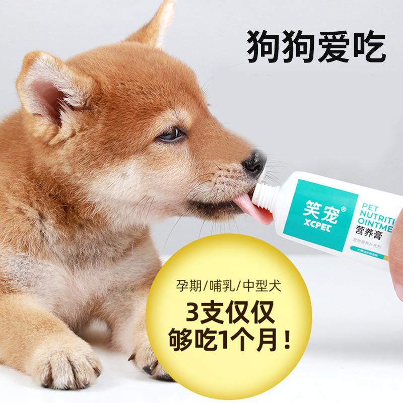 [Laughing Pet] Dog specific immune boosting, fattening, and hair beautifying nutritional supplement