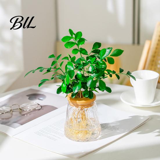 Desktop Flower Vase Hydroponic Planter with Lid, Glass-Like Clear Plant Propagation Station, Office Desk for Cuttings, Home Decor Transparent Bottle