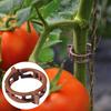 Climbing Plant Clamps Secured Long-lasting Plastic Plant Clips Garden Vine Support Clip Multifunctional Plant Holder for Vine Stem Fixing