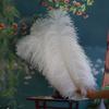 Thick Rod Wide Hair 50-55Cm Ostrich Feather Wedding Road Guide Table Flower Home Decoration Ornament Ostrich Hair White