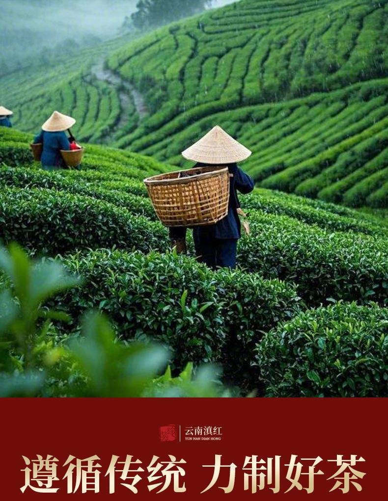 Jieying Qimen Black Tea Yunnan Dianhong Yinghong No.9 Black Tea Strong Aroma Tea High end Festival Ceramic Gift Box